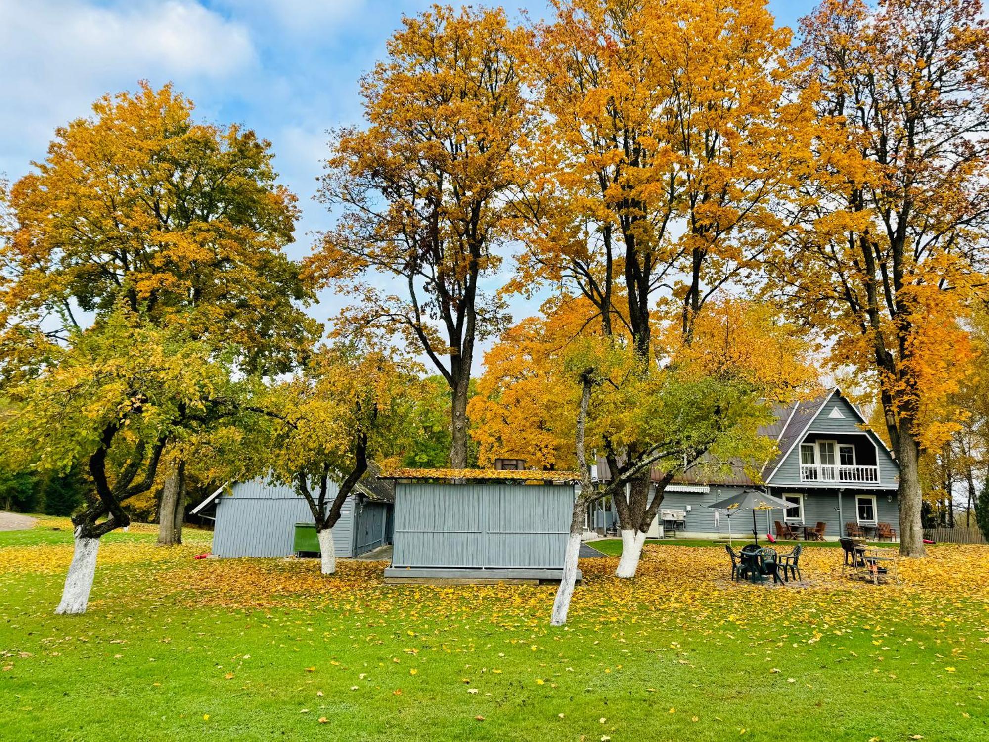 Maple House - Sodyba Tarp Klevu ウテナ エクステリア 写真