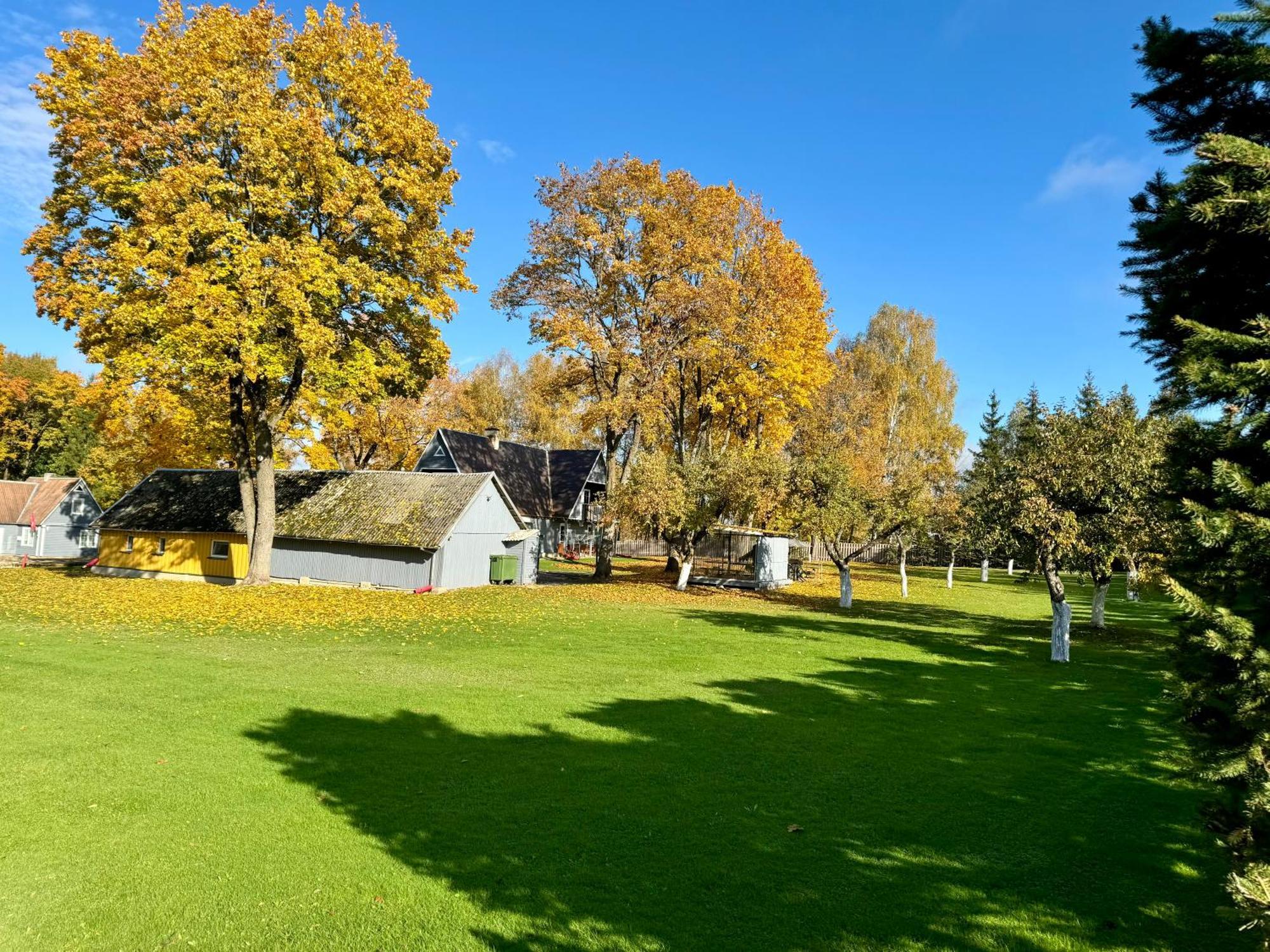 Maple House - Sodyba Tarp Klevu ウテナ エクステリア 写真